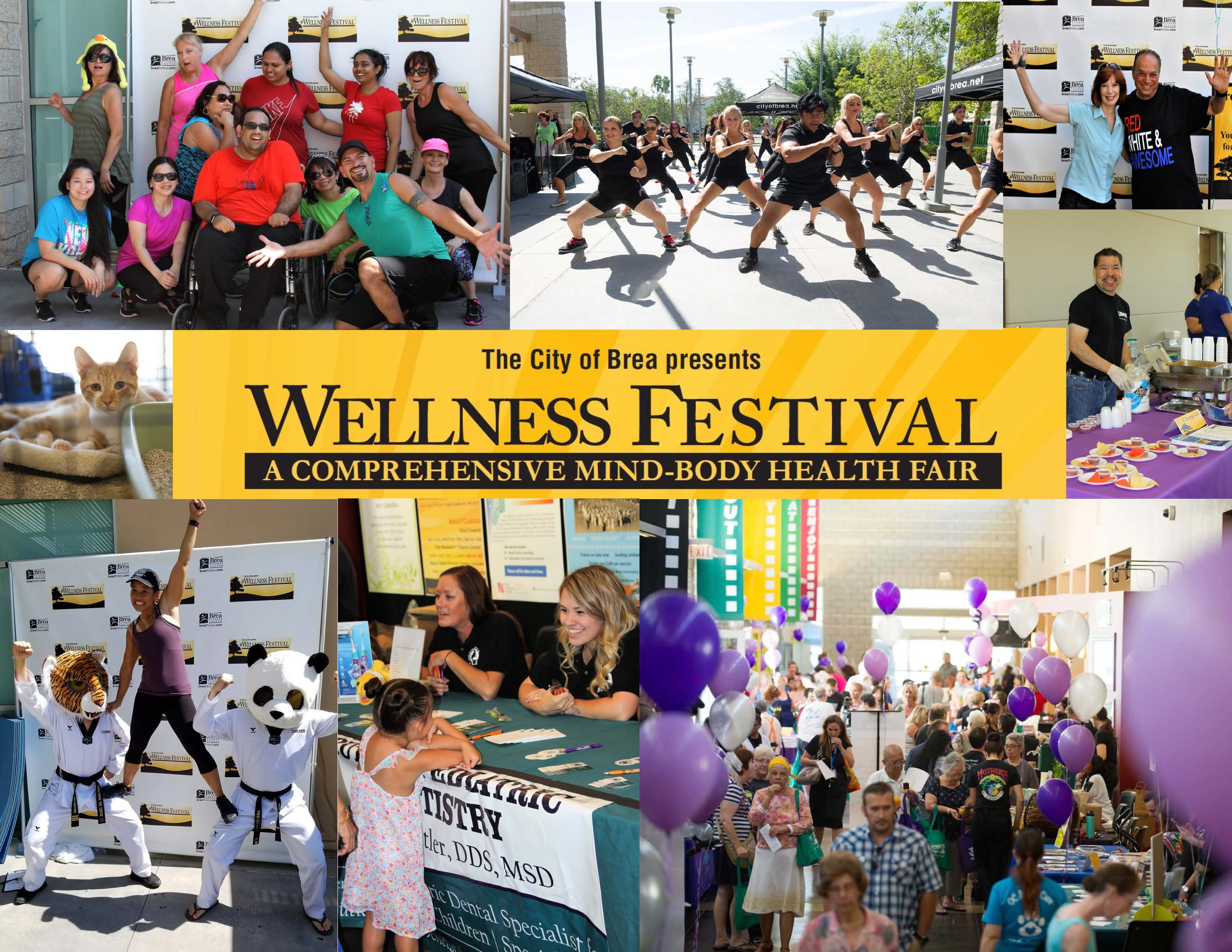 Website collage image