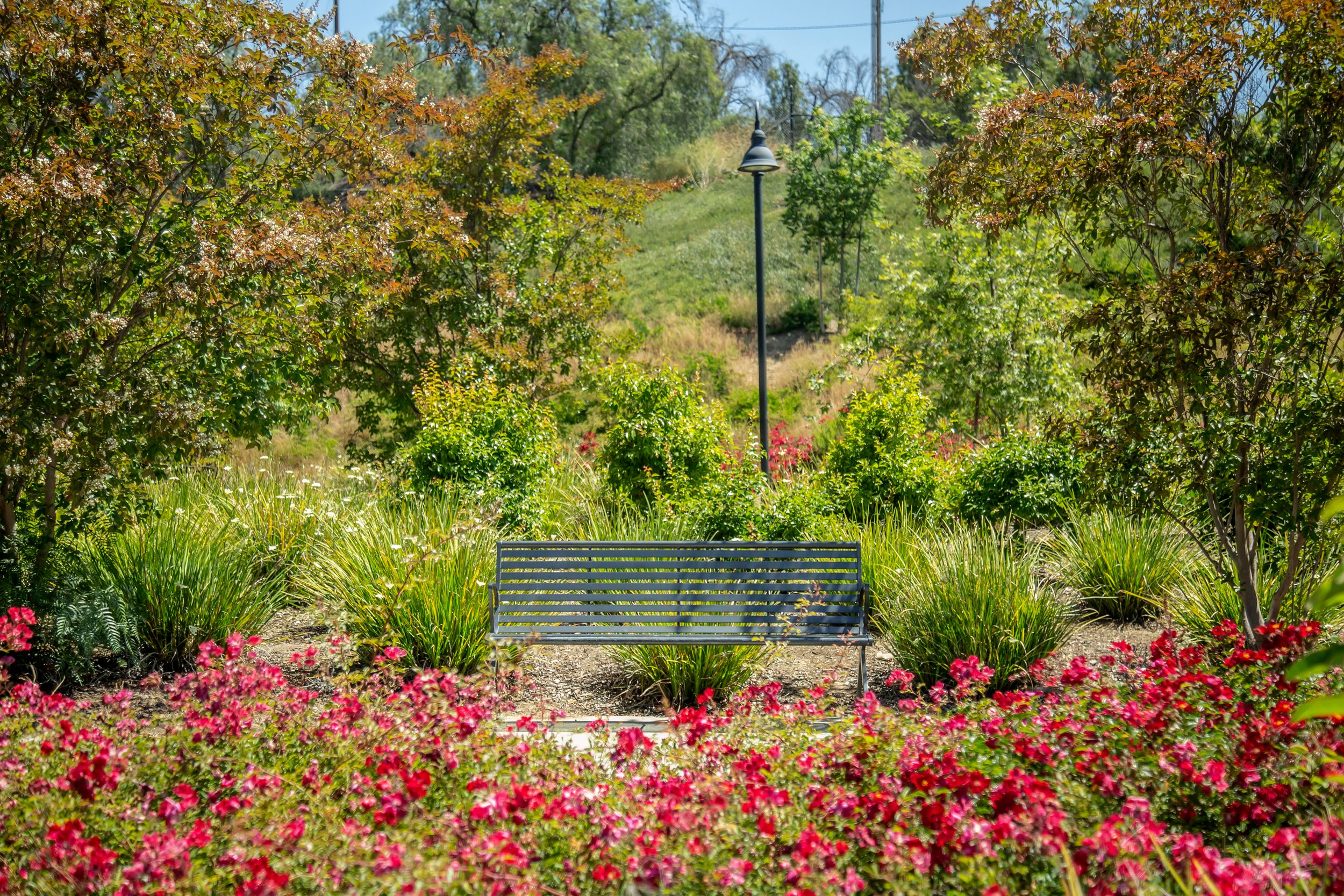 Memorial Bench